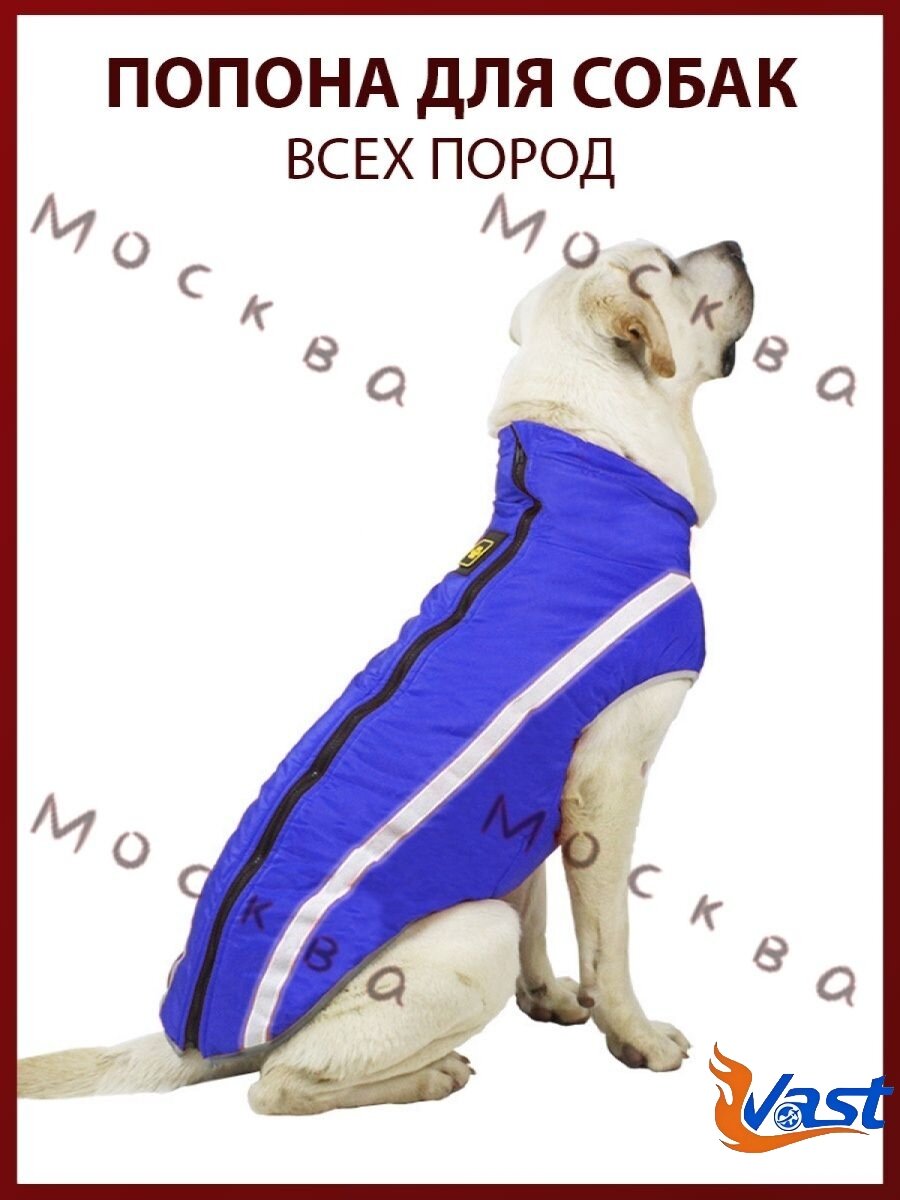 Одежда для животных