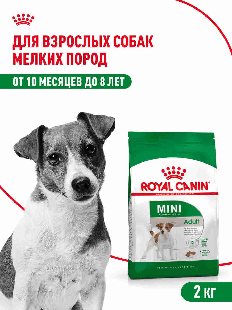 Сухой корм для собак Royal Canin Mini Adult для мелких пород, 2 кг