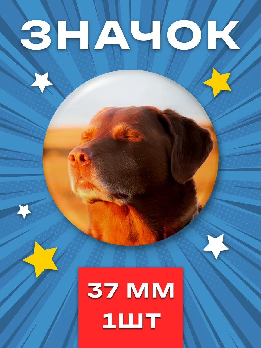Значок