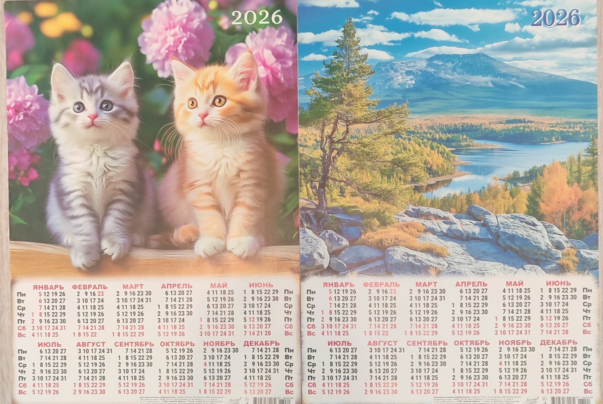 Набор календарей на 2026 год (2 шт). Два котенка+природа