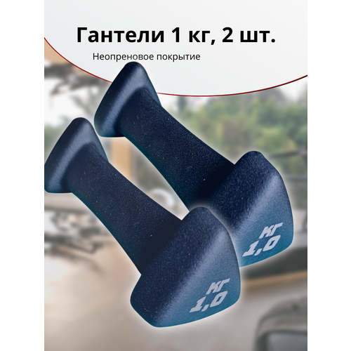 Гантели,2 шт. каждая по 1 кг, неопреновое покрытие, черные