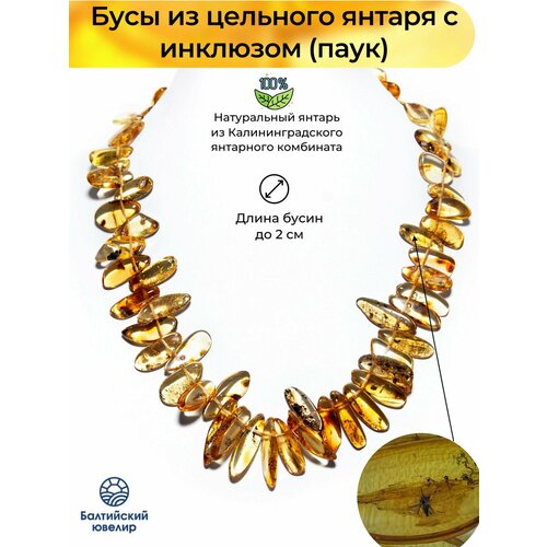 фото Бусы балтийский ювелир