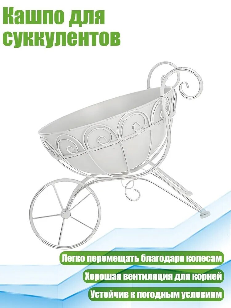 Таз, 1 шт