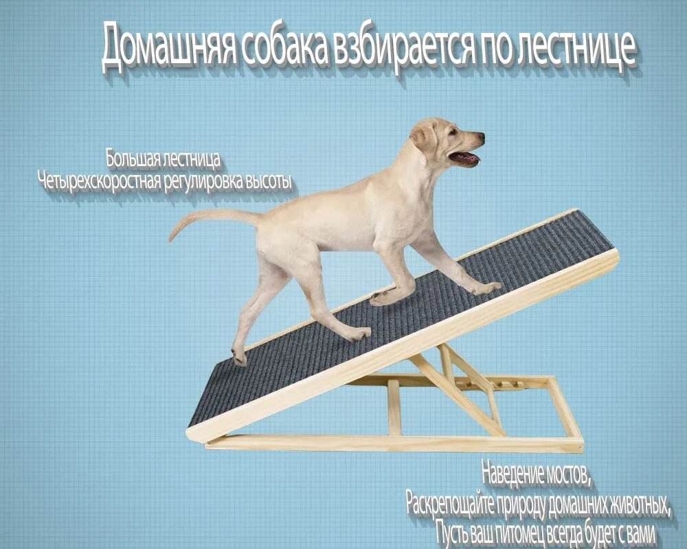 Пандус для собак деревянный складной с регулировкой высоты, нескользящее покрытие