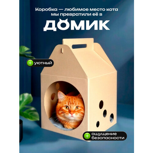 фото Домик для кошки картонный sweet sofa