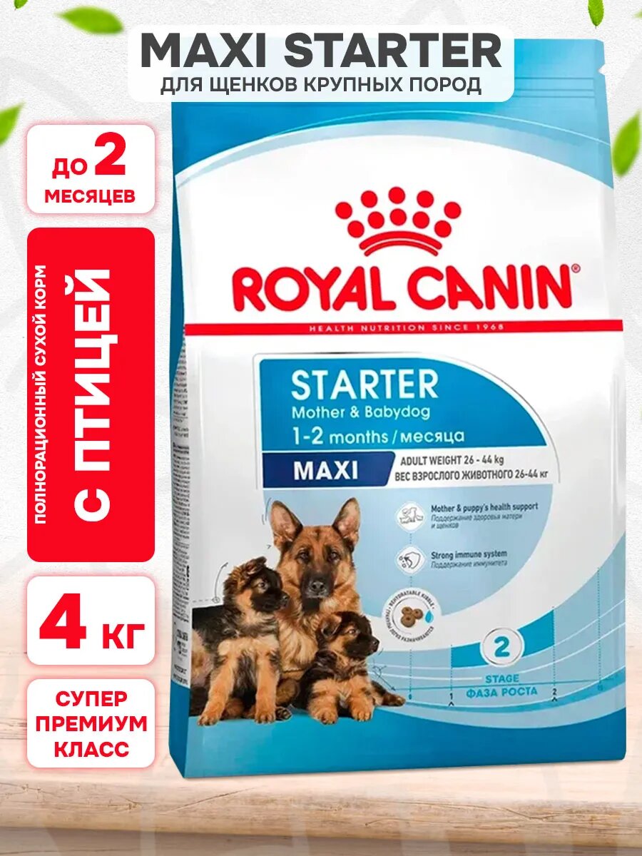 Корм сухой Royal Canin Maxi Starter для щенков крупных пород до 2 месяцев, беременных и кормящих собак, 4 кг
