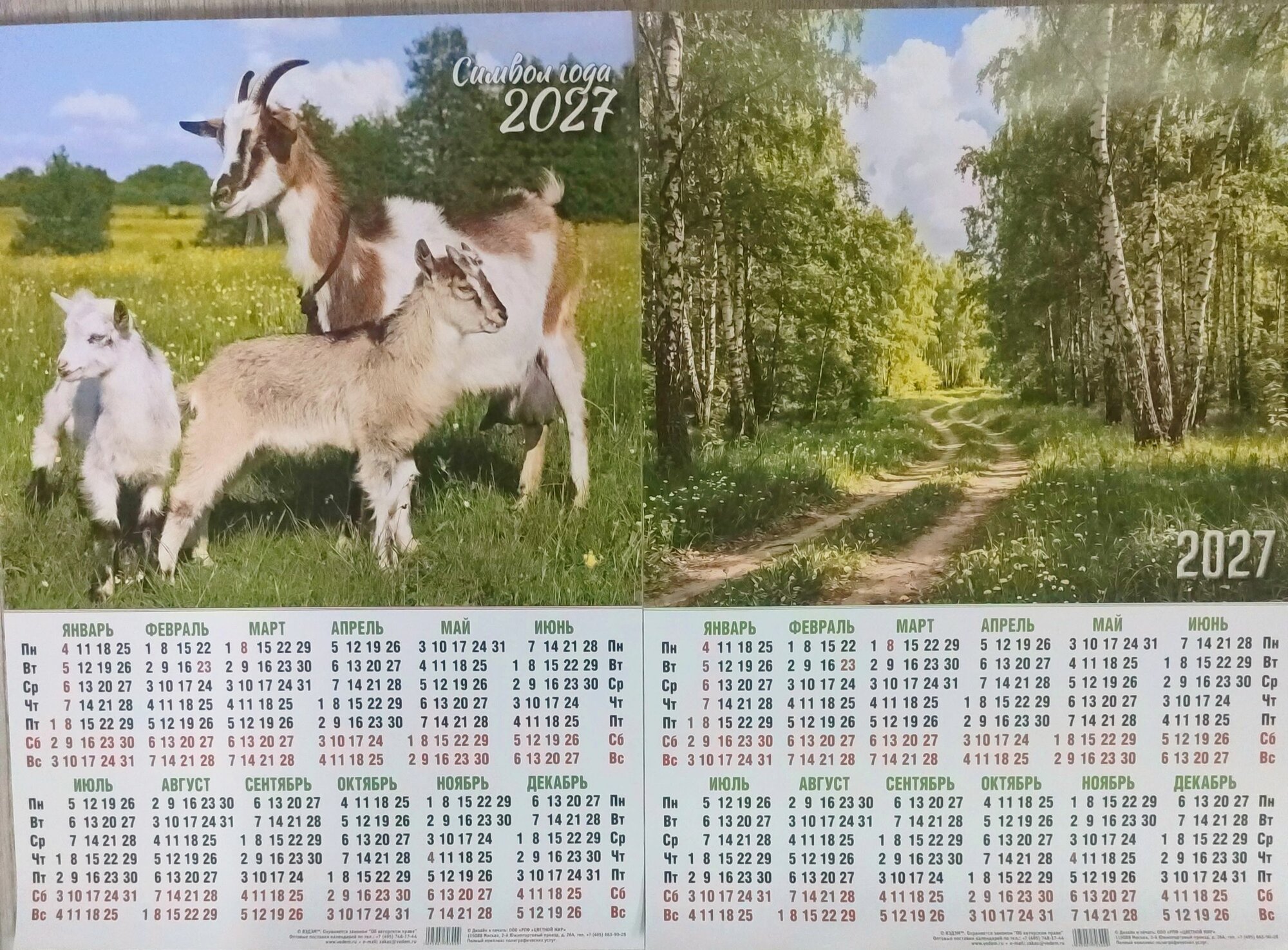 Набор календарей на 2027 год (2 шт) Символ года +природа (лес)