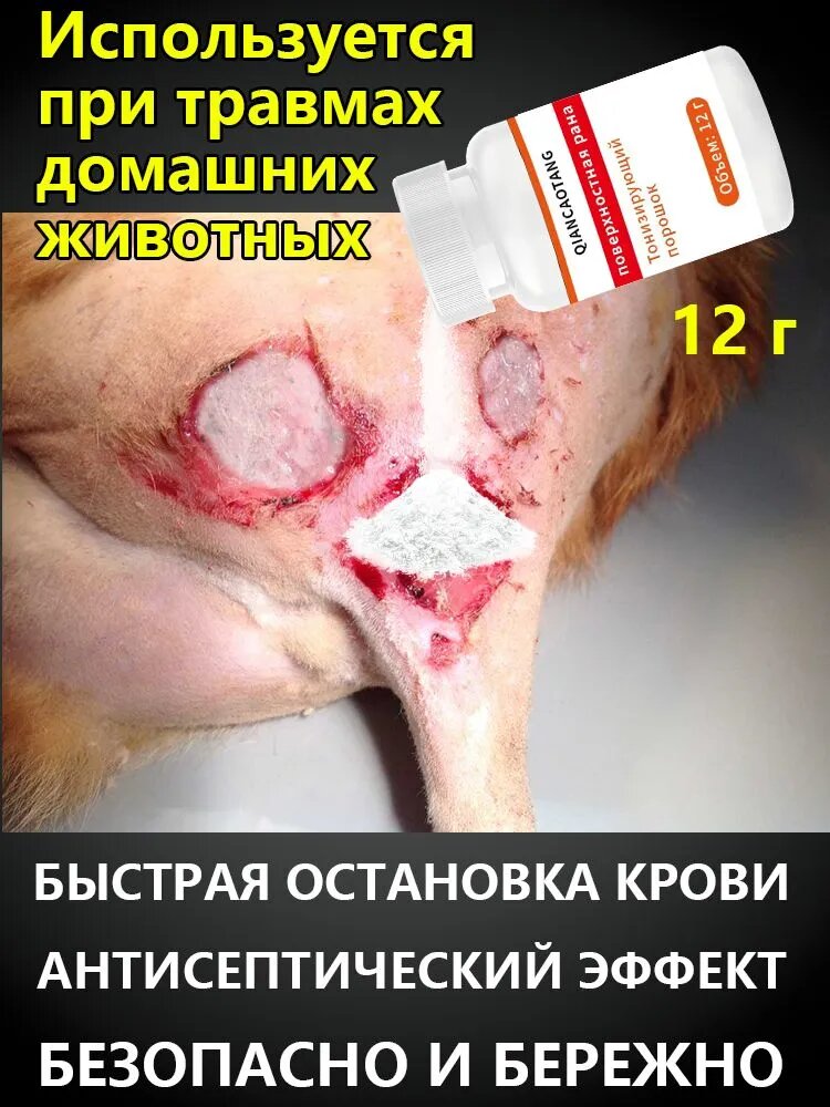 Порошок для остановки крови для кошек и собак, обязательный элемент аптечки для питомцев