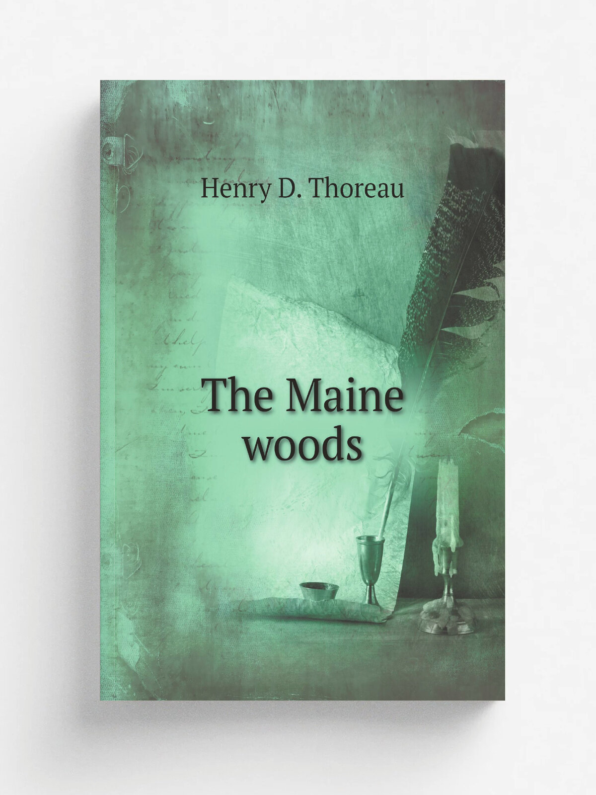 The Maine woods