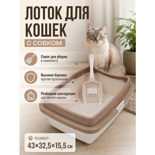 фото Туалет для кошек и котов большой 43х32,5х15,5 см с совком в подарок, молочно-кофейный ddstyle