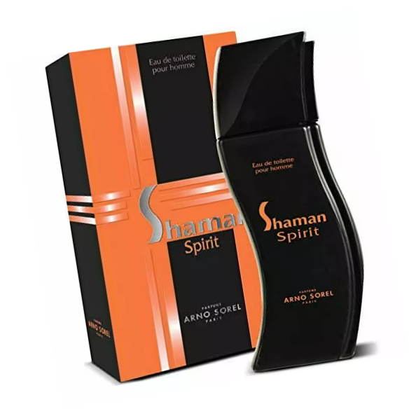 Туалетная вода Арно Сорел Шаман Спирит мужская 100 мл - Arno Sorel Shaman Spirit