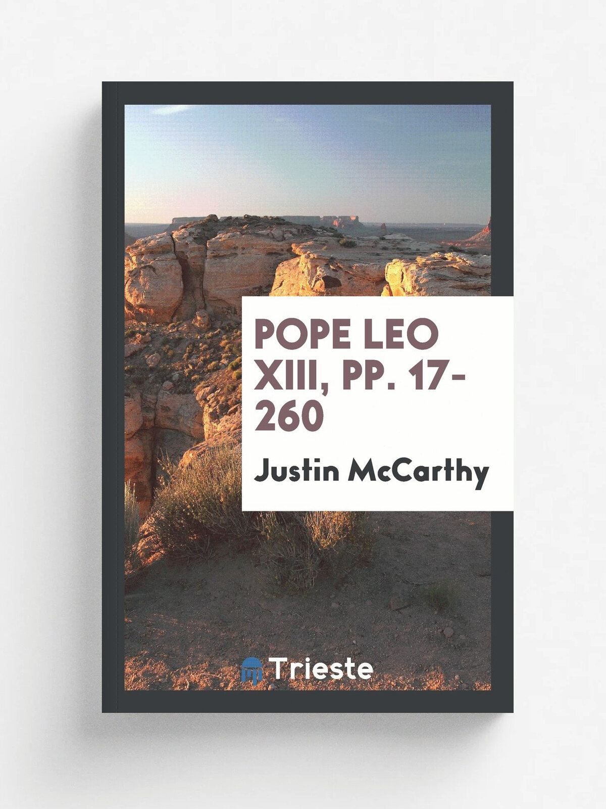 Pope Leo XIII, pp. 17-260