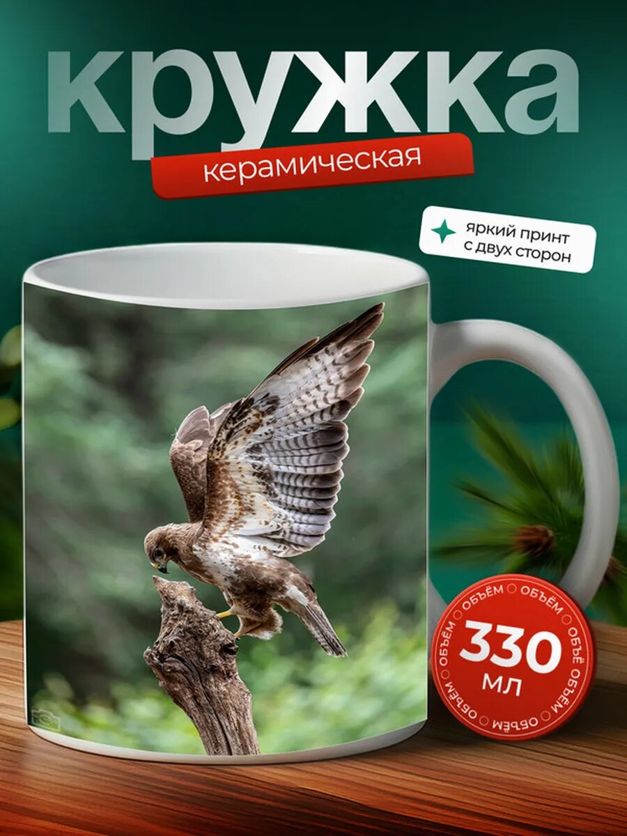 Кружка Ястреб птица 15,