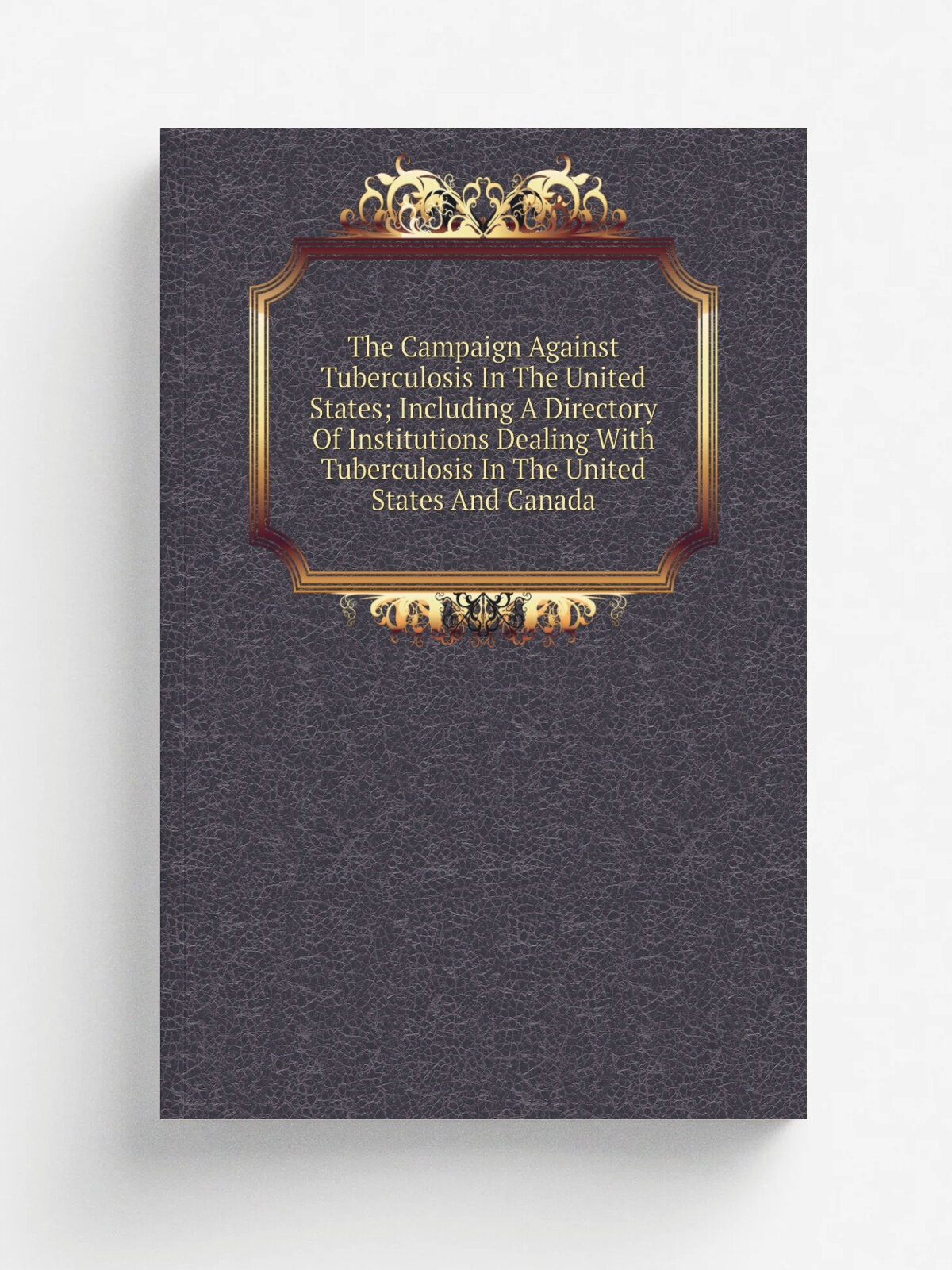 The Campaign Against Tuberculosis In The United States; Including A Directory Of Institutions Dealing With Tuberculosis In The United States And Cana…