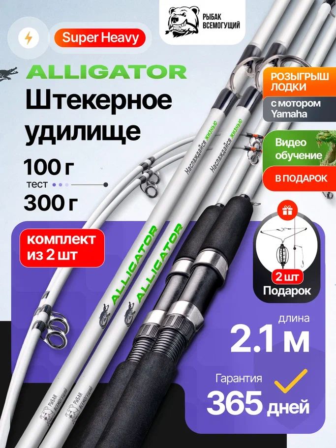 Спиннинг штекерный Рыбак Всемогущий 2 шт. 2,1 м тест 100-300