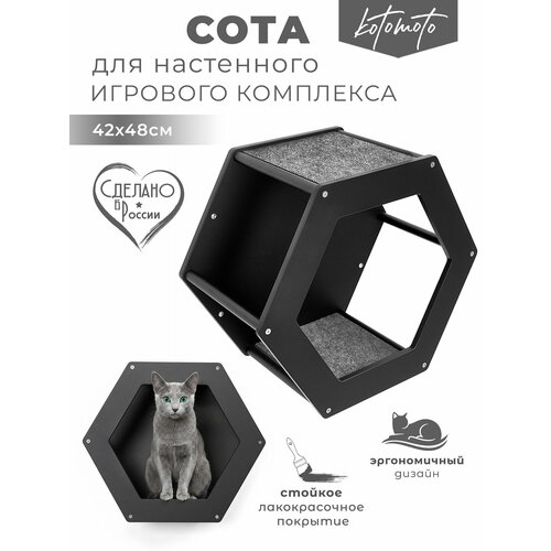 фото Полка для кошек настенная на стену котомото / настенный игровой комплекс для кошек kotomoto