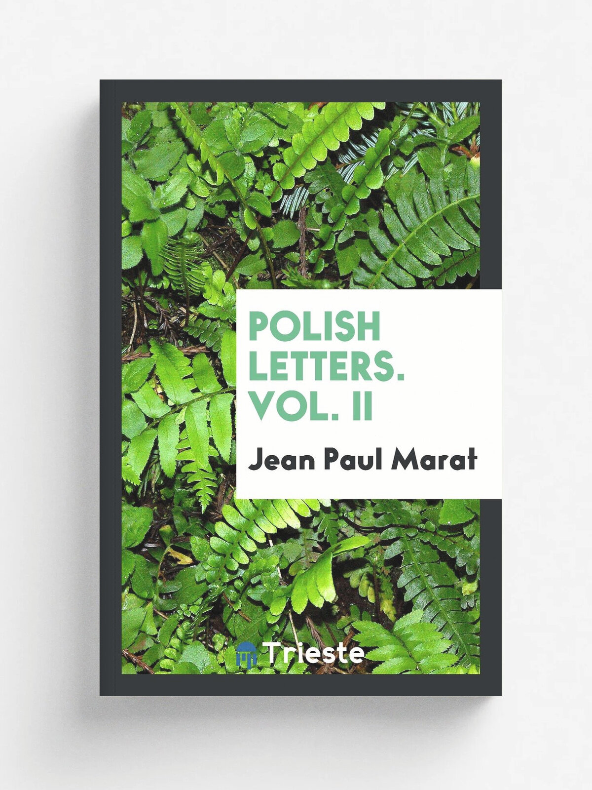 Polish letters. Vol. II