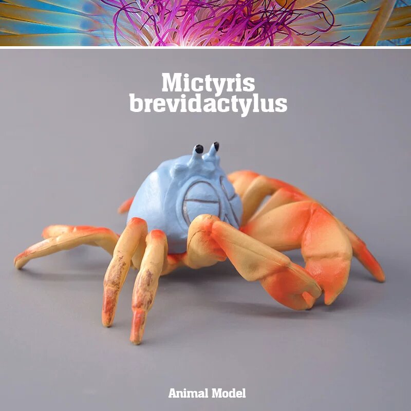 Модель короткопалого краба для аквариума, 3D пластиковая фигурка