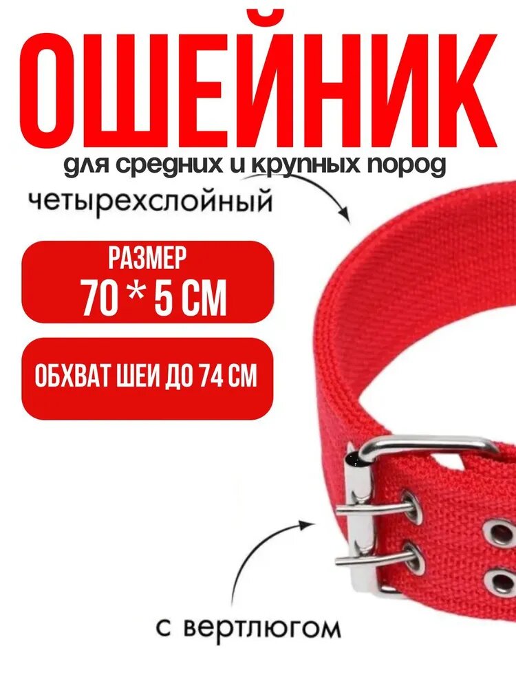 Усиленный нейлоновый ошейник премиум для крупных и средних пород, длина 70 см, ширина 40 мм