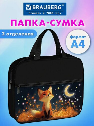 Изображение товара Папка сумка для тетрадей, труда, рисования и изо А4 для девочки на молнии с ручками для школы, Brauberg, 274500