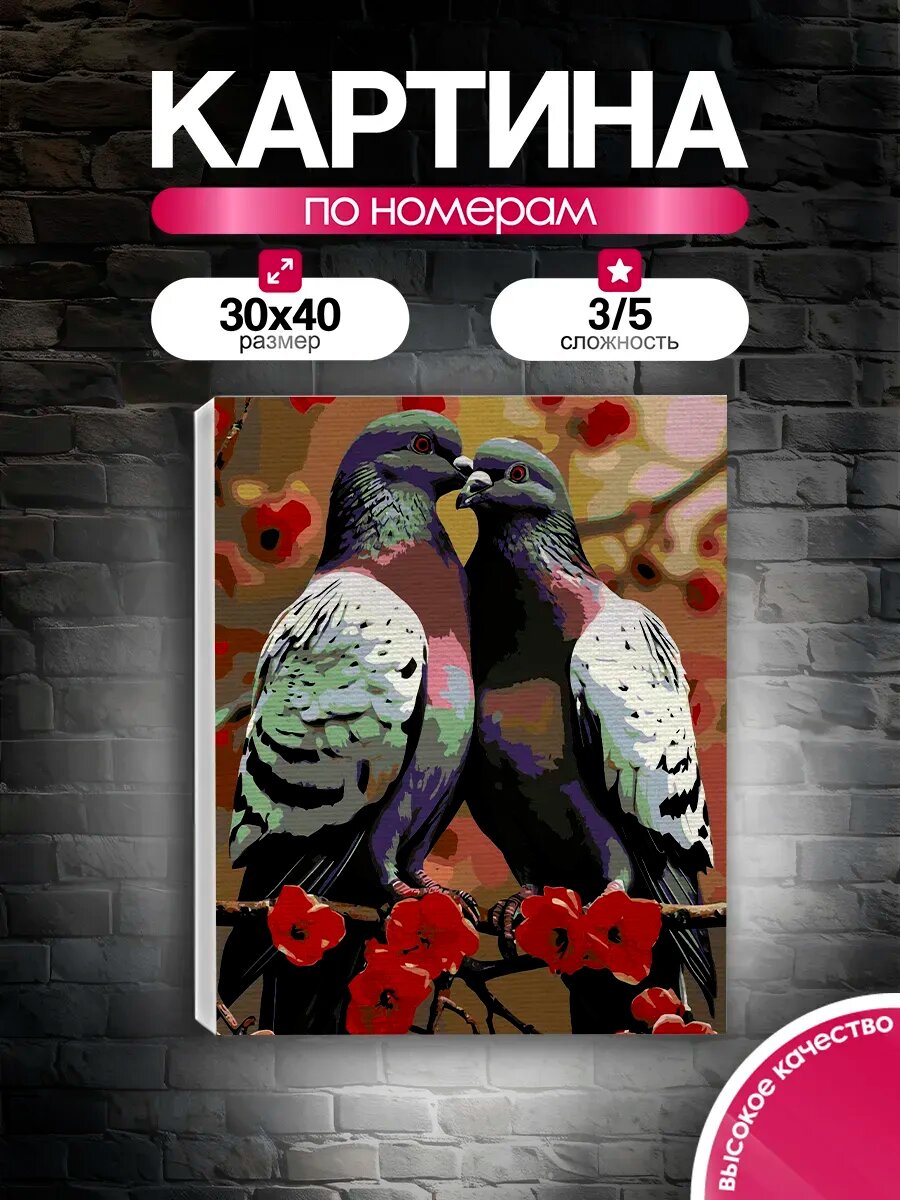 Картина по номерам 30x40 Пара голубей