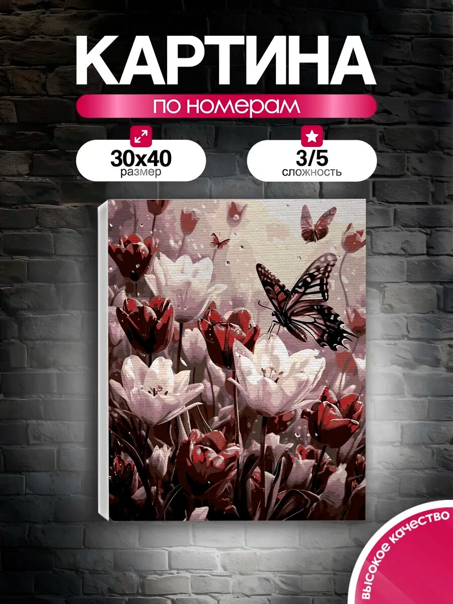 Картина по номерам 30x40 Танец бабочек