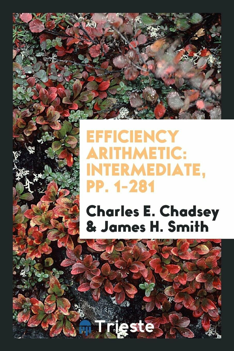 Efficiency Arithmetic. Intermediate, pp. 1-281 — фото 1