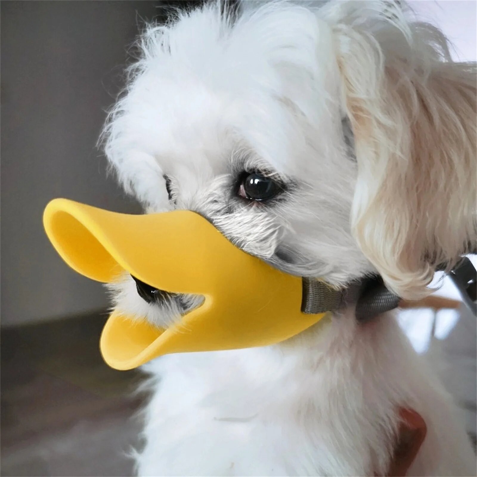 Силиконовый намордник для собак Anti-Milf Duck Yellow