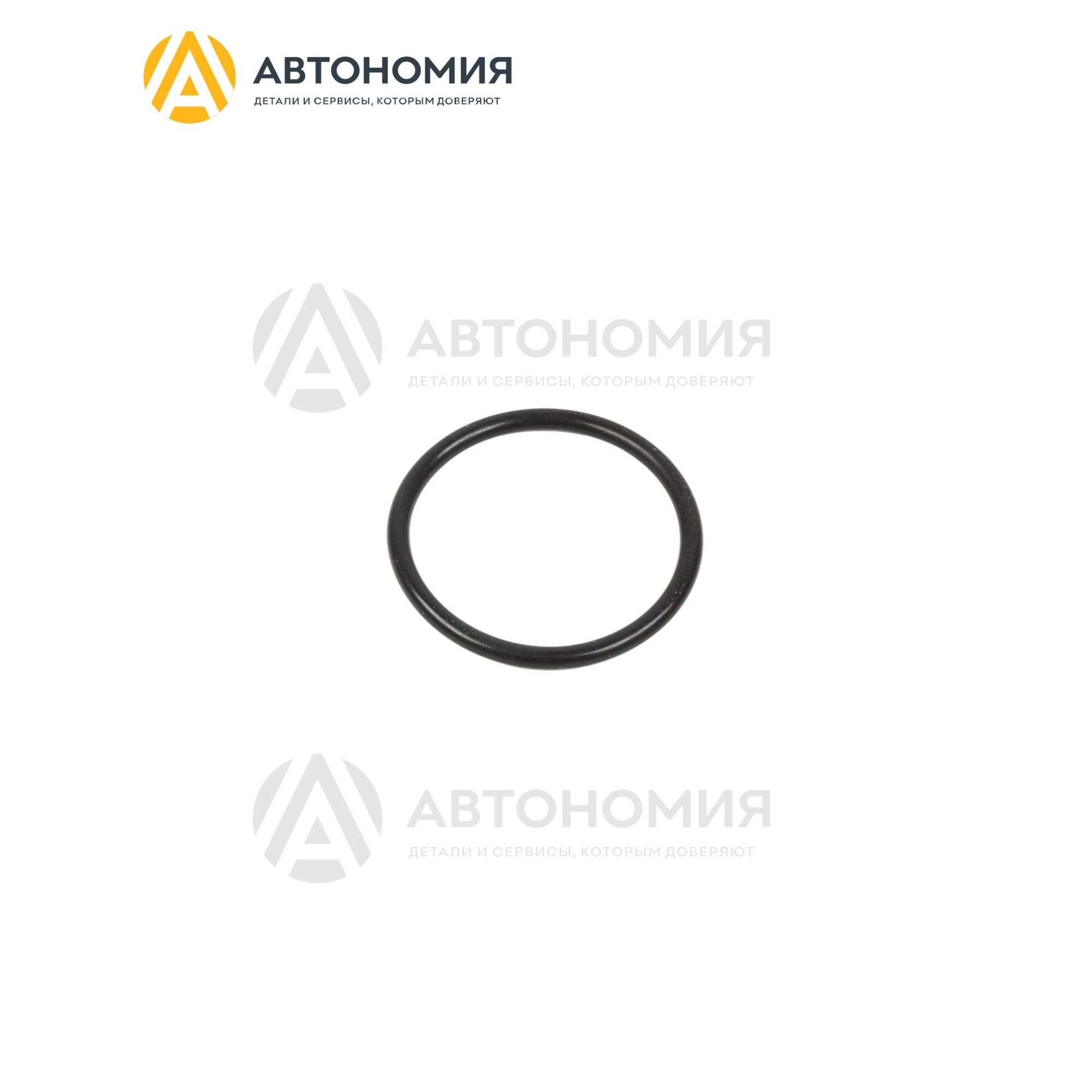 Кольцо уплотнительное фильтра акпп Porsche 958 325 443 00