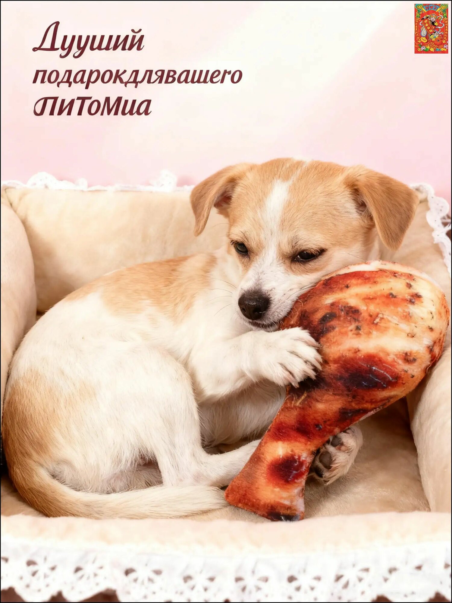 Игрушка для собак жевательная имитация мясной кости и куриных крыльев текстильная развивающая