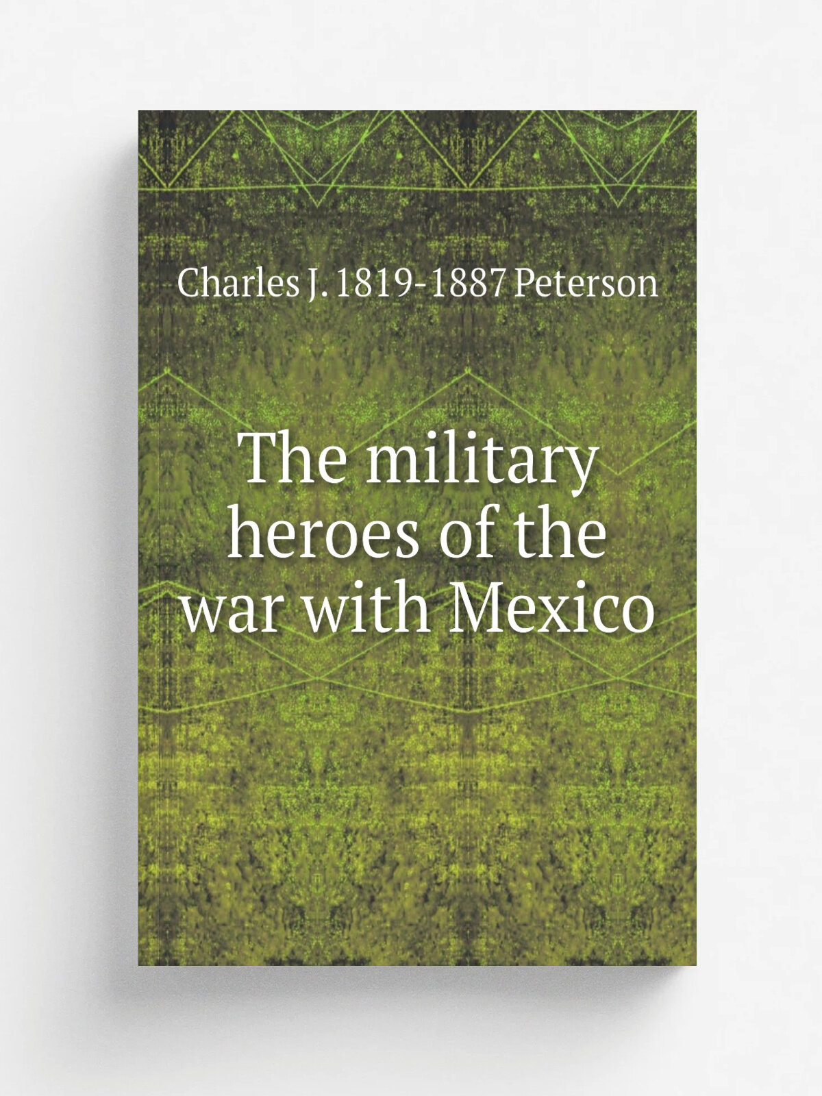 The military heroes of the war with Mexico