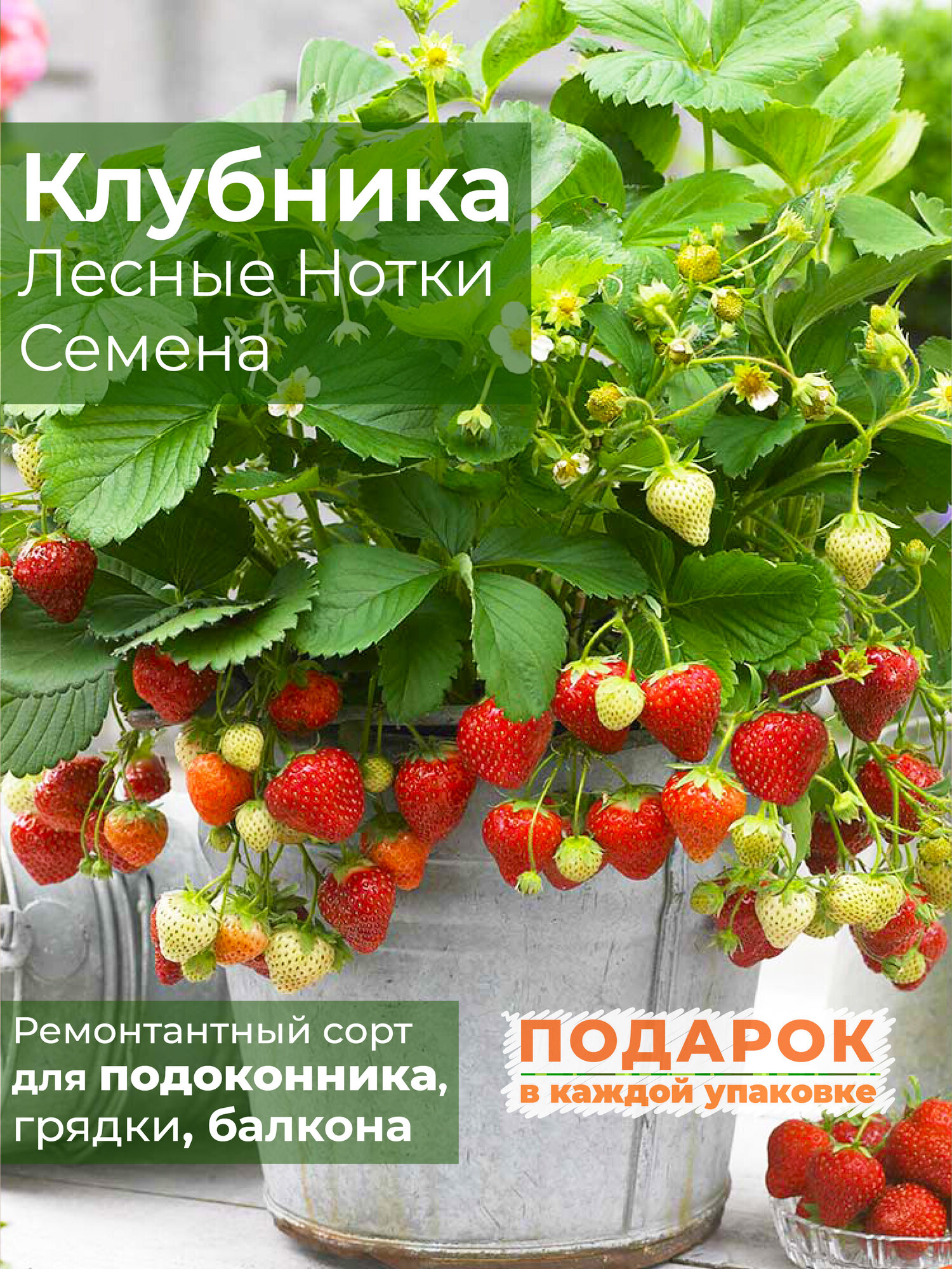 Клубника балконно-комнатная Лесные нотки, Семена, 50 шт, семена ягод