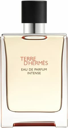 Вода парфюмерная Hermes Terre d Hermes Eau de Parfum Intense, мужской, 100 мл