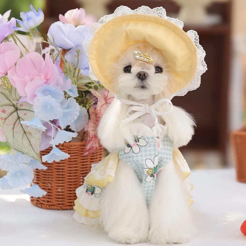 Собачий костюм Lolita, голубой, с юбкой и шляпой