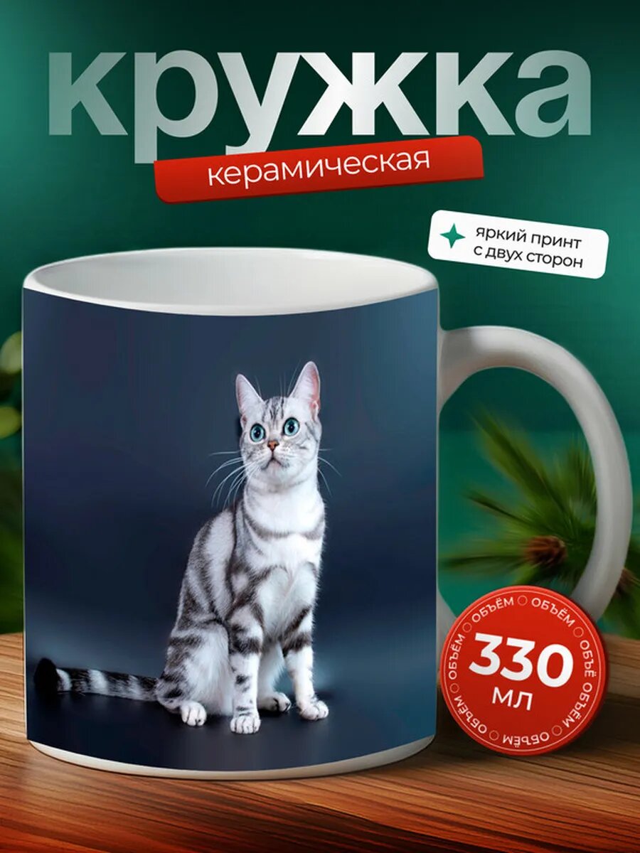 Кружка Американская короткошерстная кошка 16,