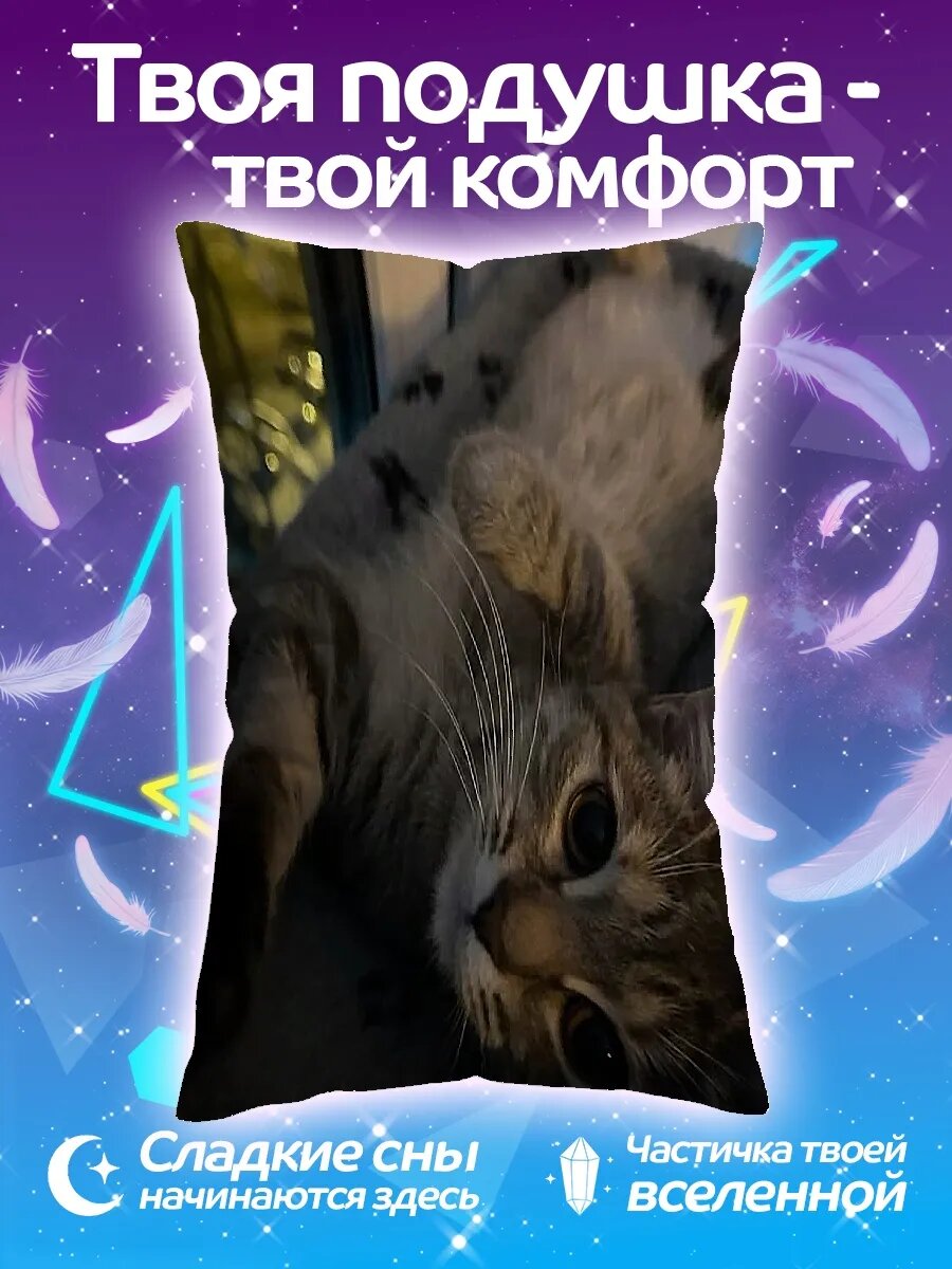 Подушка дакимакура Кот лежит