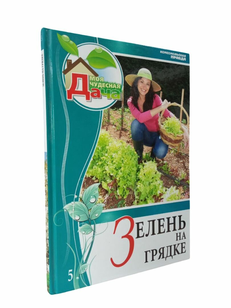 Зелень на грядке. Горбунова Елена