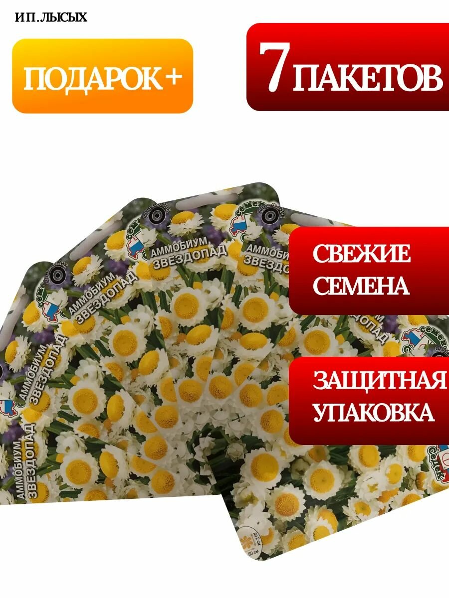 Семена Аммобиум "Звездопад"