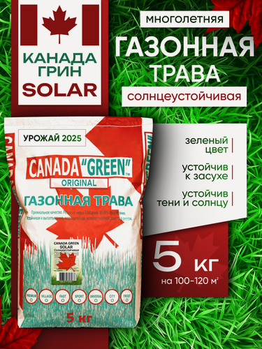 Изображение товара Газонная трава семена Канада Грин Солнцеустойчивая 5кг / Canada Green Solar 5 кг