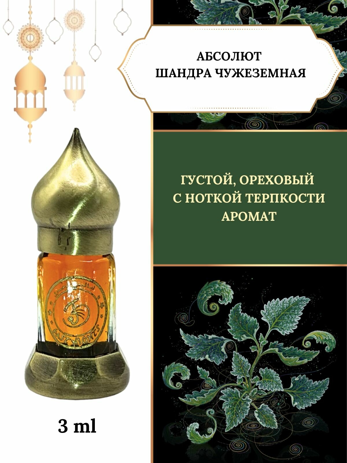 Шандра чужеземная абсолют