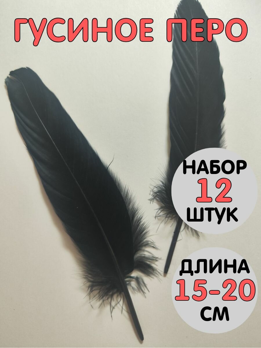 Перья гусиные для творчества и рукоделия, набор 12 шт. (15-20 см) цвет черный