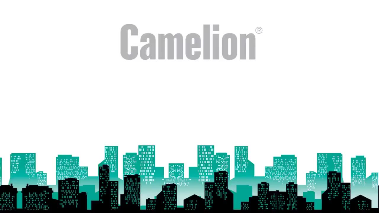Набор щелочных батареек Camelion 40 шт. ААА, AA / Пальчиковые 20 шт, Мизинчиковые 20 шт. — фото 1