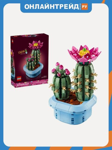Изображение товара Конструктор Lego Botanicals 11509 Цветущий кактус