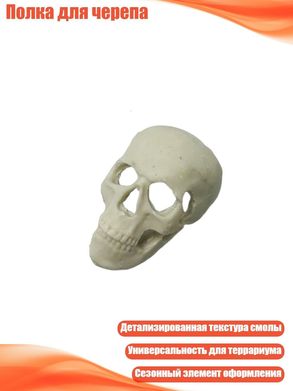 Полка для черепа, S