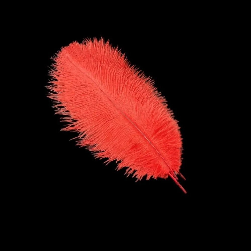 Страусиные перья 15-20 см, 10 шт. Red-10pcs