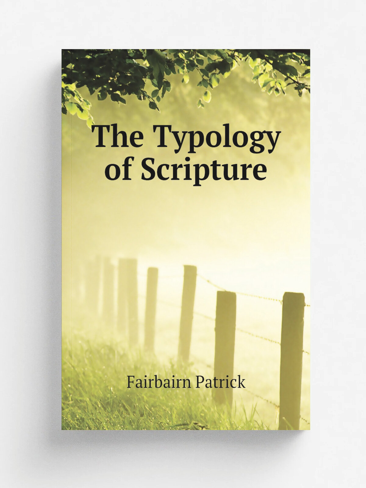 The Typology of Scripture | Fairbairn Patrick | Репринт