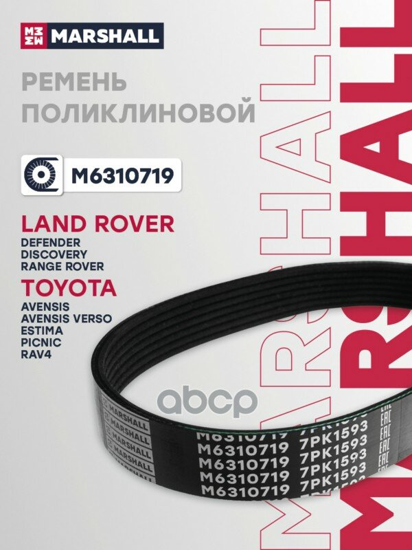 Ремень поликлиновой MARSHALL арт. M6310719