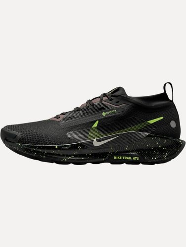 Изображение товара Кроссовки Pegasus Trail 5 GORE-TEX