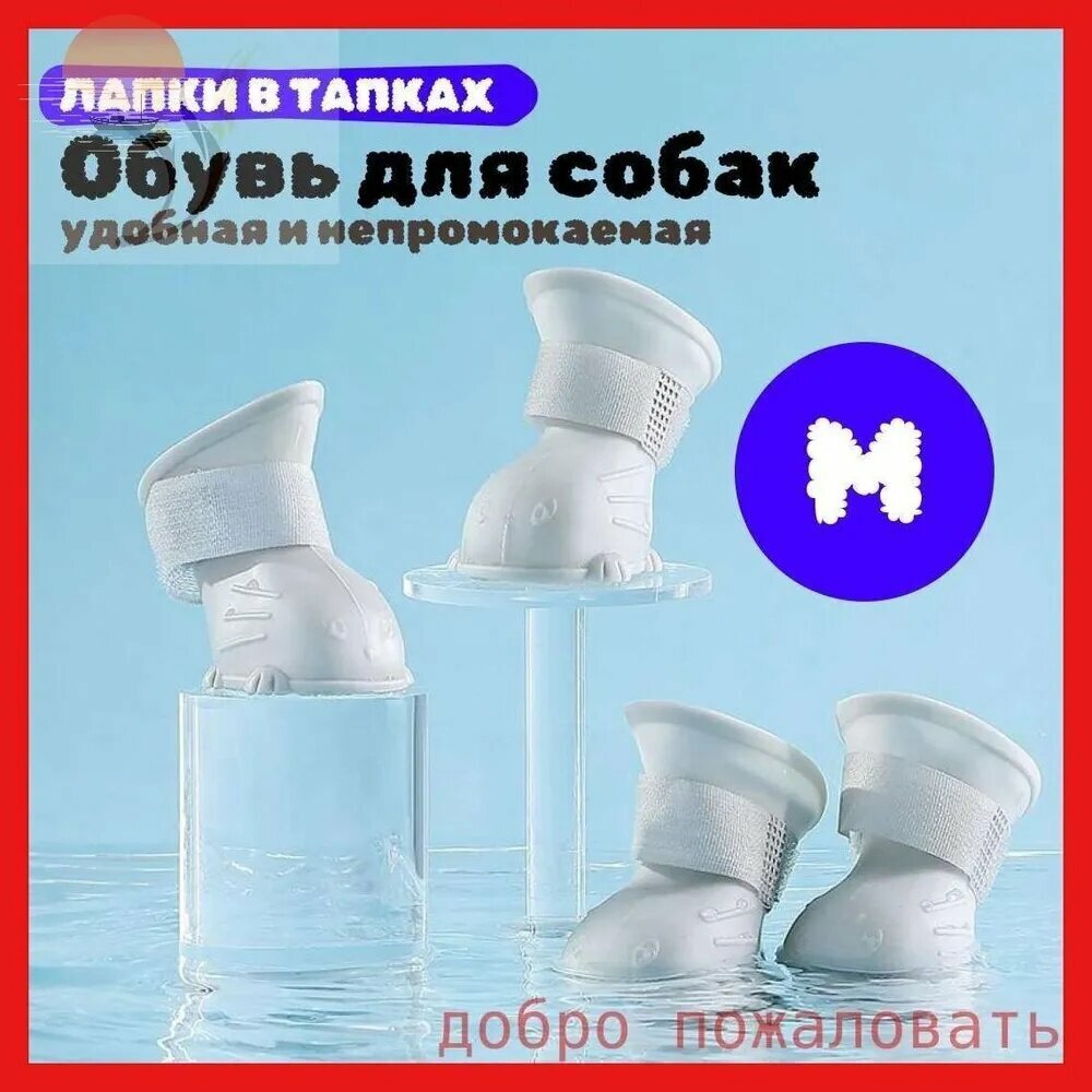 Обувь для собак