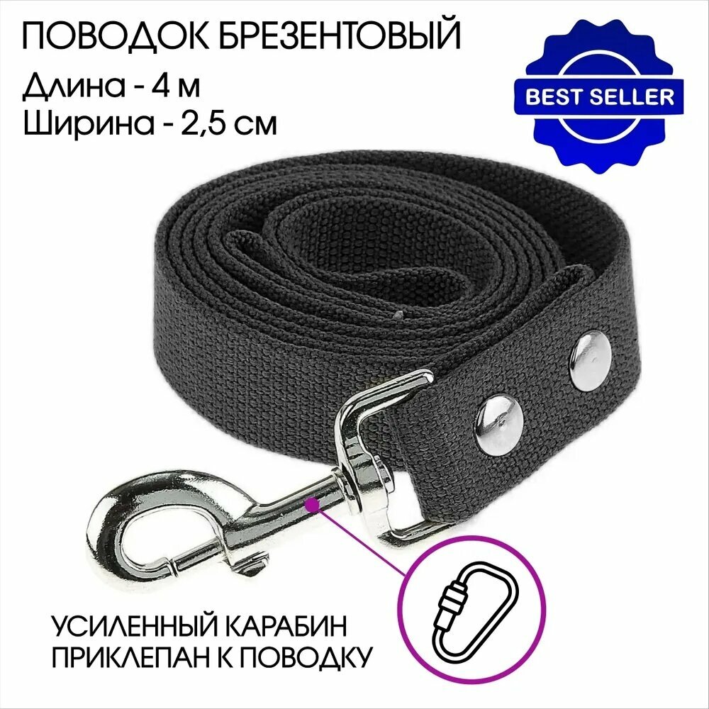 Поводок для средних и малых собак брезентовый с карабином, длина 4 м х ширина 25 мм, цвет черный. Прочный отводный поводок для кошек, зоотовар. Амуниция для животных